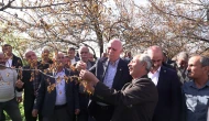 Elazığ Baskil’de Şemsi Bayraktar, Zirai Don Nedeniyle İncelemelerde Bulundu