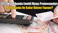2025 Nisan Ayında Emekli Maaşı Promosyonları: Hangi Banka Ne Kadar Ödeme Yapıyor?