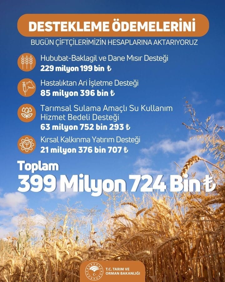 Tarım ve Orman Bakanlığı, çiftçilere yönelik 399 milyon 724 bin Türk Lirası tutarındaki tarımsal destek ödemelerini bugün hesaplarına aktaracak.