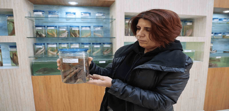 Elazığ Su Ürünleri Araştırma Enstitüsü Müdürlüğü kampüsü içinde bulunan Balık Müzesi büyük ilgi görüyor.