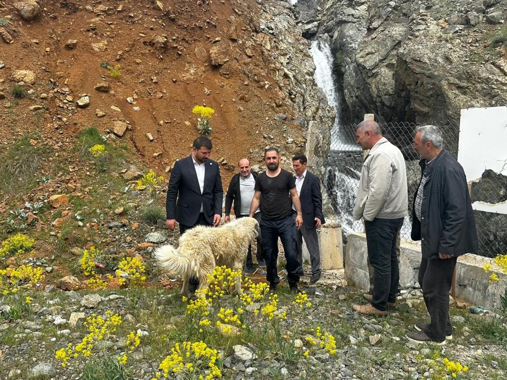 Elazığ Belediye Başkanı, Şelalede Mahsur Kalan Köpeğin Kurtarma Operasyonuna Katıldı.