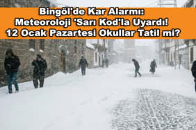 Bingöl'de Kar Alarmı: Meteoroloji 'Sarı Kod'la Uyardı! 12 Ocak Pazartesi Okullar Tatil mi?